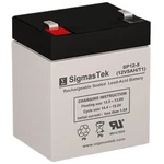 Sigmastek Battery Replacement For Vision CP1250H Ups, Sla Agm Rechargeable 12V New. Price: $16.99.