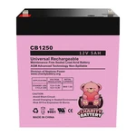Conext CNB500 12V 5AH Sla Replacement Ups Battery New. Price: $19.85.