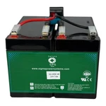 Apc RBC48 Replacement Cartridge With 2X 12V 7AH Saruna Batteries New. Price: $66.00.
