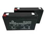 Tripplite SMART500RT1U Ups Battery Kit 6V 9AH Sla Batteries RBC62-1U Replacement New. Price: $19.95.