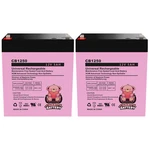 Belkin F6C1500-TW-RK 12V 5AH Replacement Ups Sla Battery Pack New. Price: $31.95.