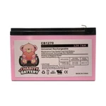 American Safety 1270 12V 7AH Replacement Wheelchair Sla Battery New. Price: $19.85.
